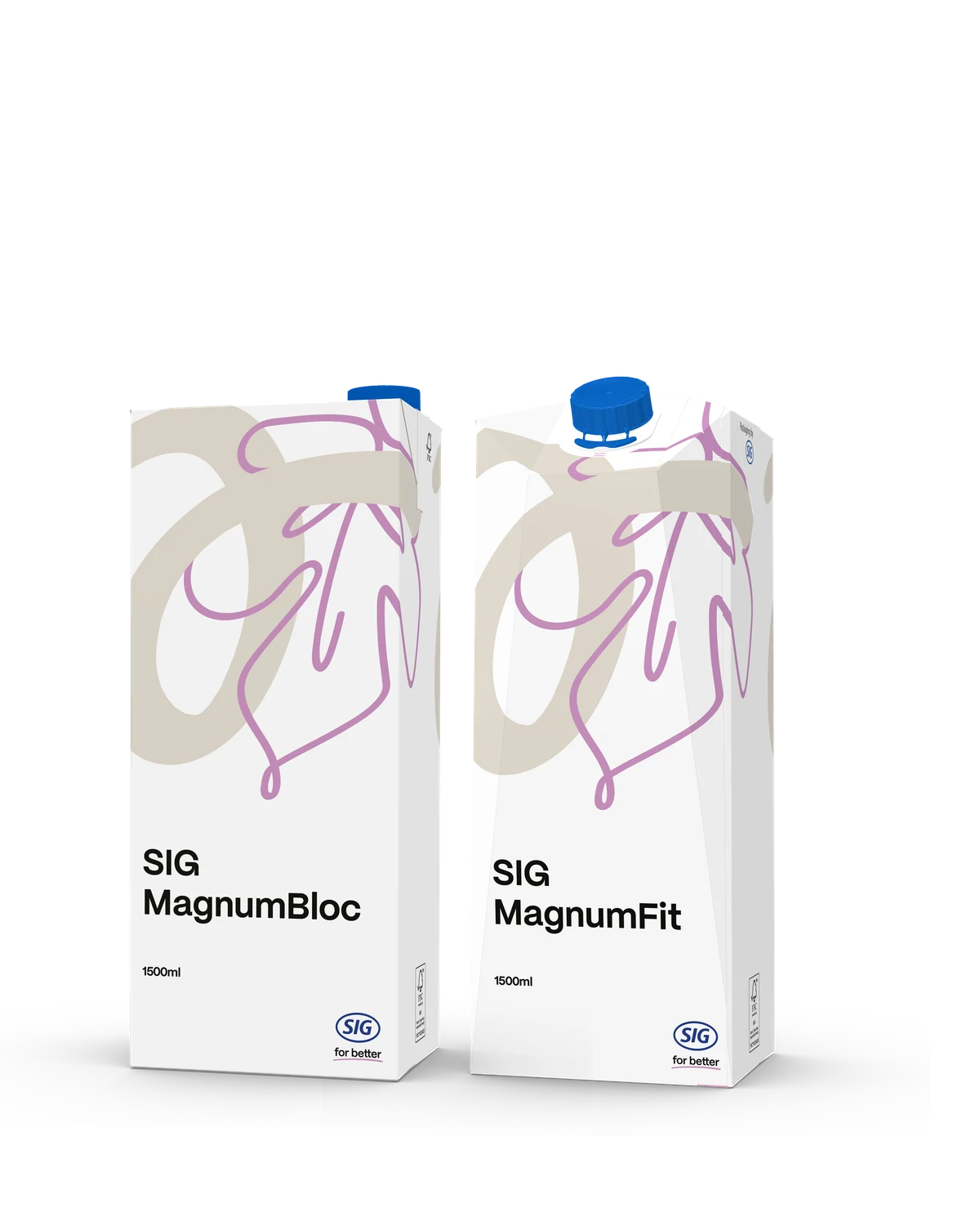 Aseptic Carton Packaging